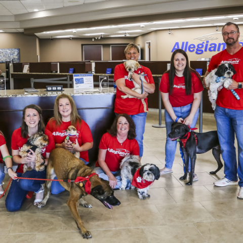 Allegiance Employees With Dogs Cropped