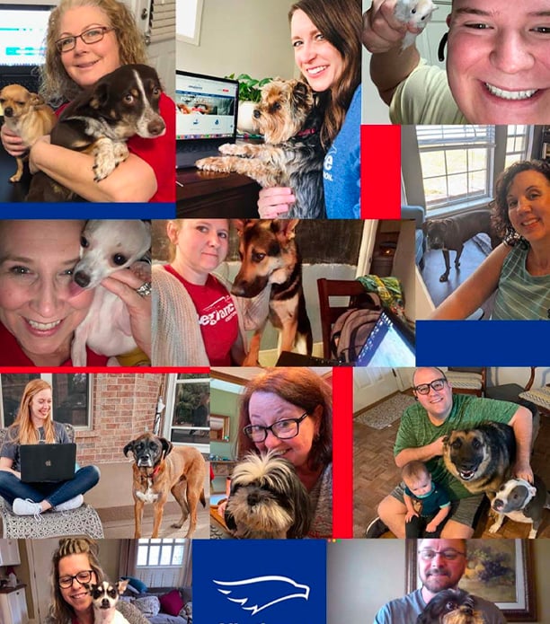 ACU employee pet collage